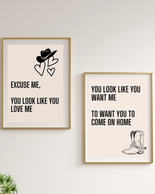 Country Music Lyric Poster: Excuse Me, You Look Like You Love Me Printed Poster